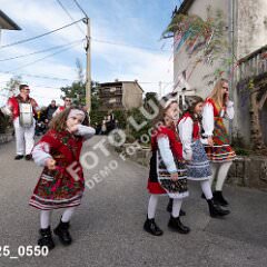 msmotr25_0550