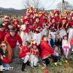 msmotr25_0477