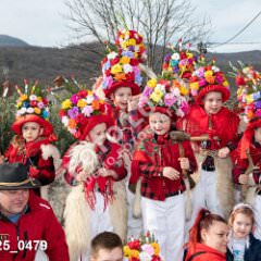 msmotr25_0479