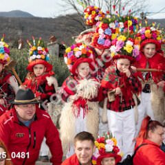 msmotr25_0481