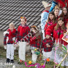 msmotr25_0554