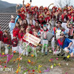 msmotr25_0561