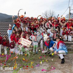 msmotr25_0562