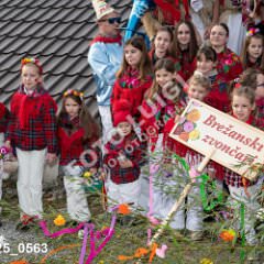 msmotr25_0563