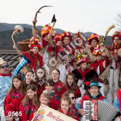 msmotr25_0565