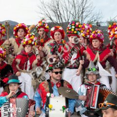 msmotr25_0573