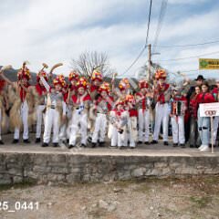 msmotr25_0441