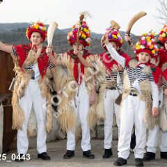 msmotr25_0443