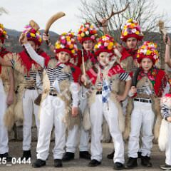 msmotr25_0444