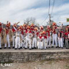 msmotr25_0447