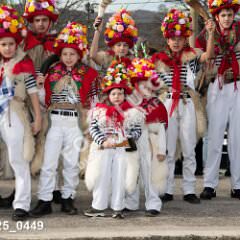 msmotr25_0449
