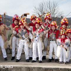 msmotr25_0463