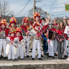 msmotr25_0464