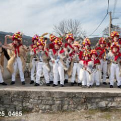 msmotr25_0465