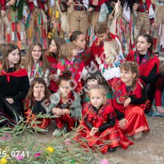 msmotr25_0741