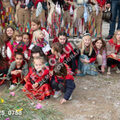 msmotr25_0758