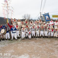 msmotr25_0828