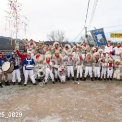 msmotr25_0829