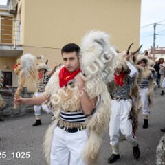 msmotr25_1025