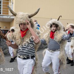 msmotr25_1027