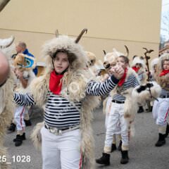 msmotr25_1028