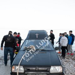 ppmedveja001