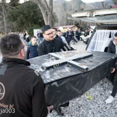 ppmedveja003