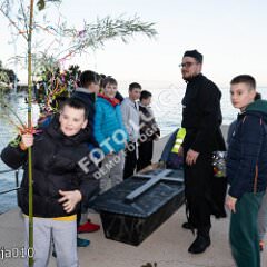 ppmedveja010