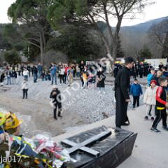 ppmedveja017