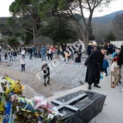 ppmedveja018