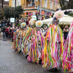 plovran0289