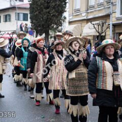 plovran0356