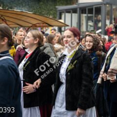 plovran0393