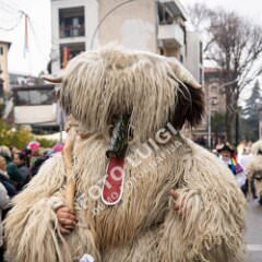 plovran0419