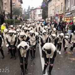 plovran1225