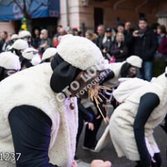 plovran1237