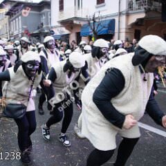 plovran1238