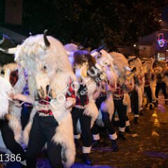 plovran1386