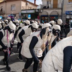 zvsmot0320