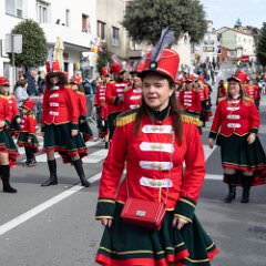 zvsmot0386