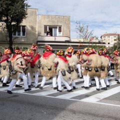 zvsmot0494