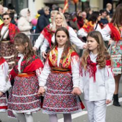 zvsmot0837