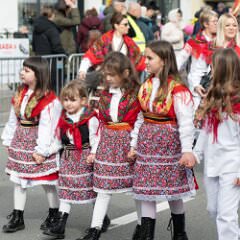 zvsmot0838
