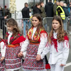 zvsmot0840