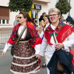 zvsmot0844