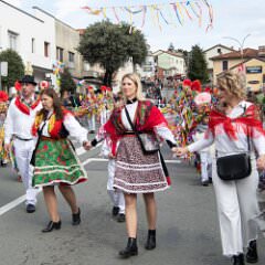 zvsmot0848