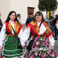 zvsmot0850