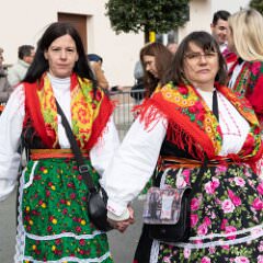 zvsmot0851