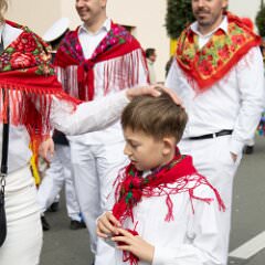 zvsmot0852