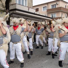zvsmot1049